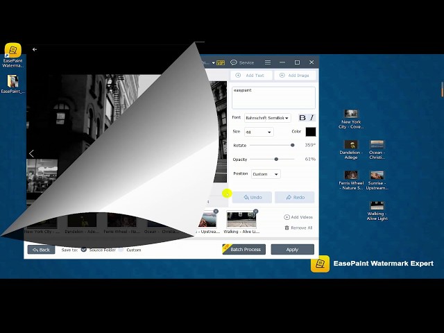 Easypaint Watermark Expert License key