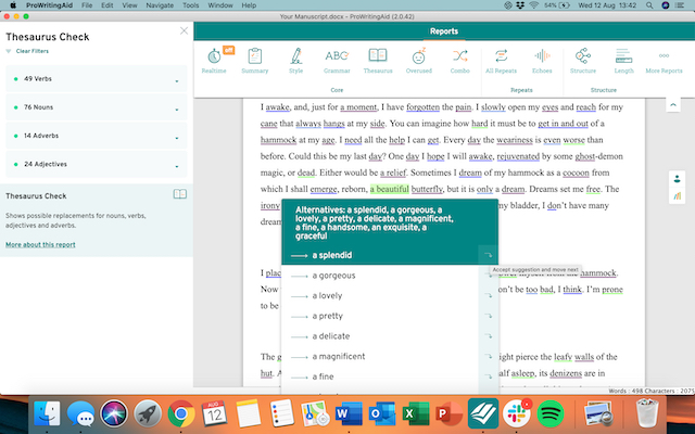 ProWritingAid Desktop 2024